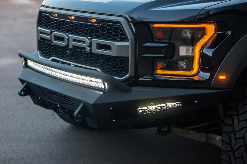 Photo - Close Up